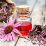 Echinacea antinfluenzale naturale