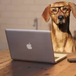 Giornata mondiale del cane in ufficio